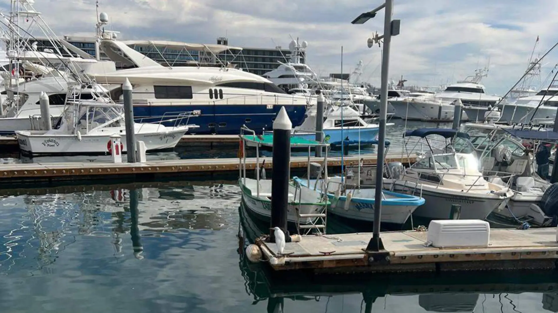 Muelle puerto embarcaciones los cabos